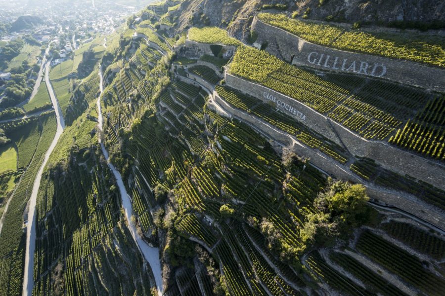 Participer à l&rsquo;aventure Cochetta