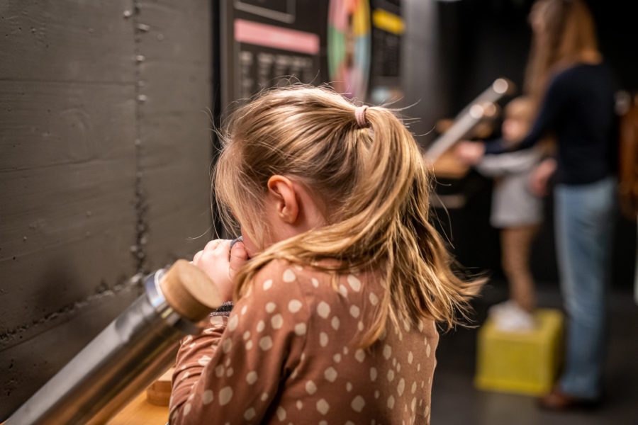 Activité sensorielle