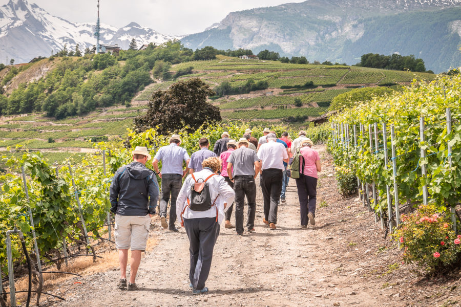 Willkommen in den Clos 