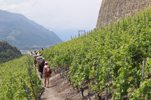 Balade des Grands Murs - Abfahrt 10h00