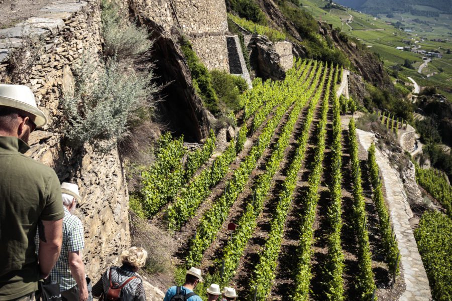 Veranstaltungsdetails