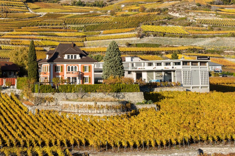 Activités à Salquenen