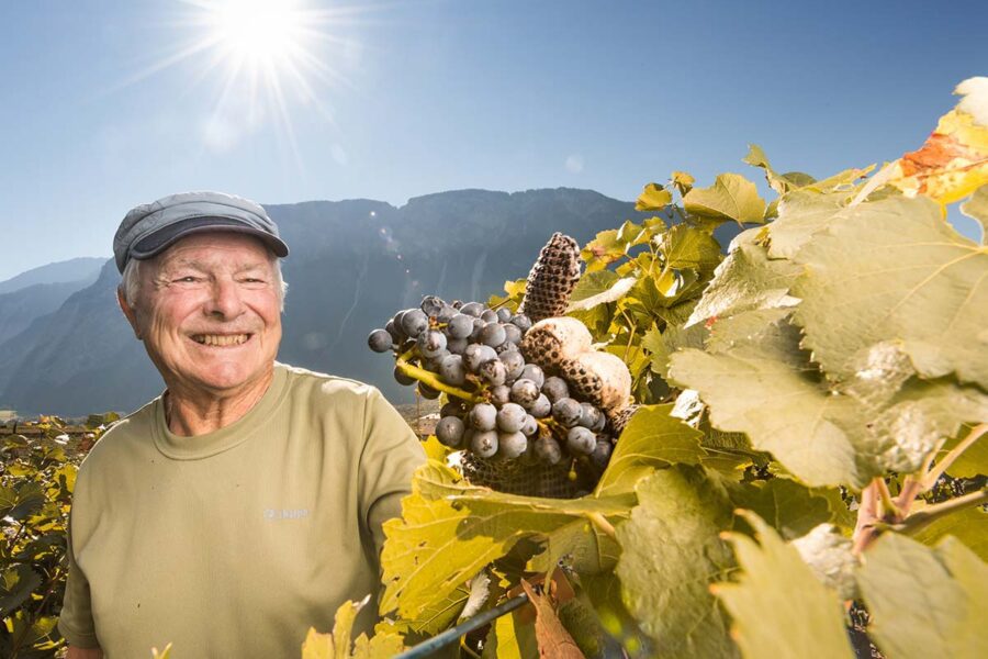 Nachhaltiger Weinbau