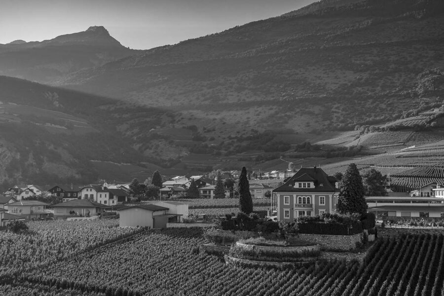 Über 80 Jahre Aufbauarbeit tragen Früchte