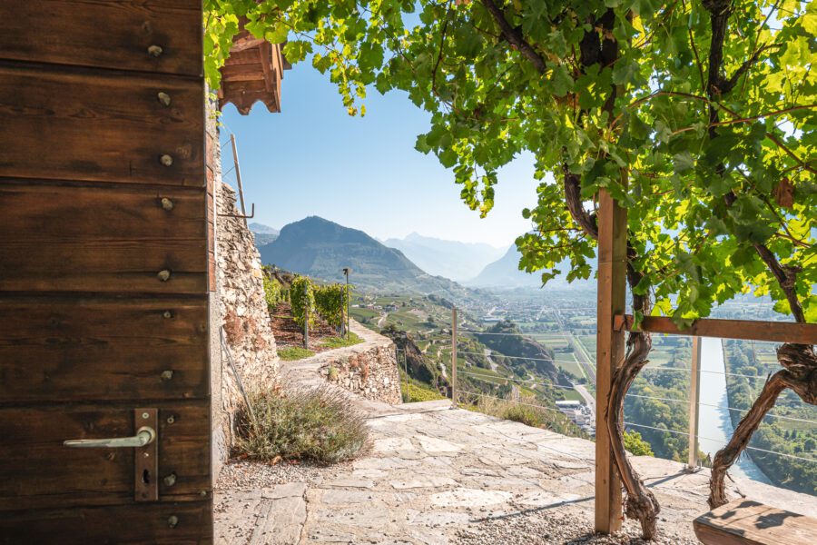 Une expérience gourmande et exclusive