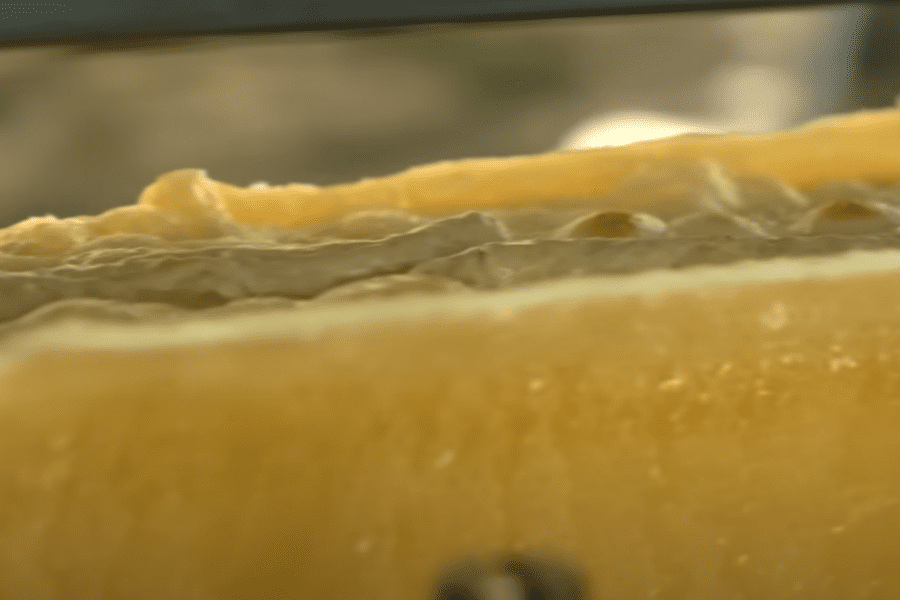 Raclette dans nos guérites : une immersion dans le terroir valaisan