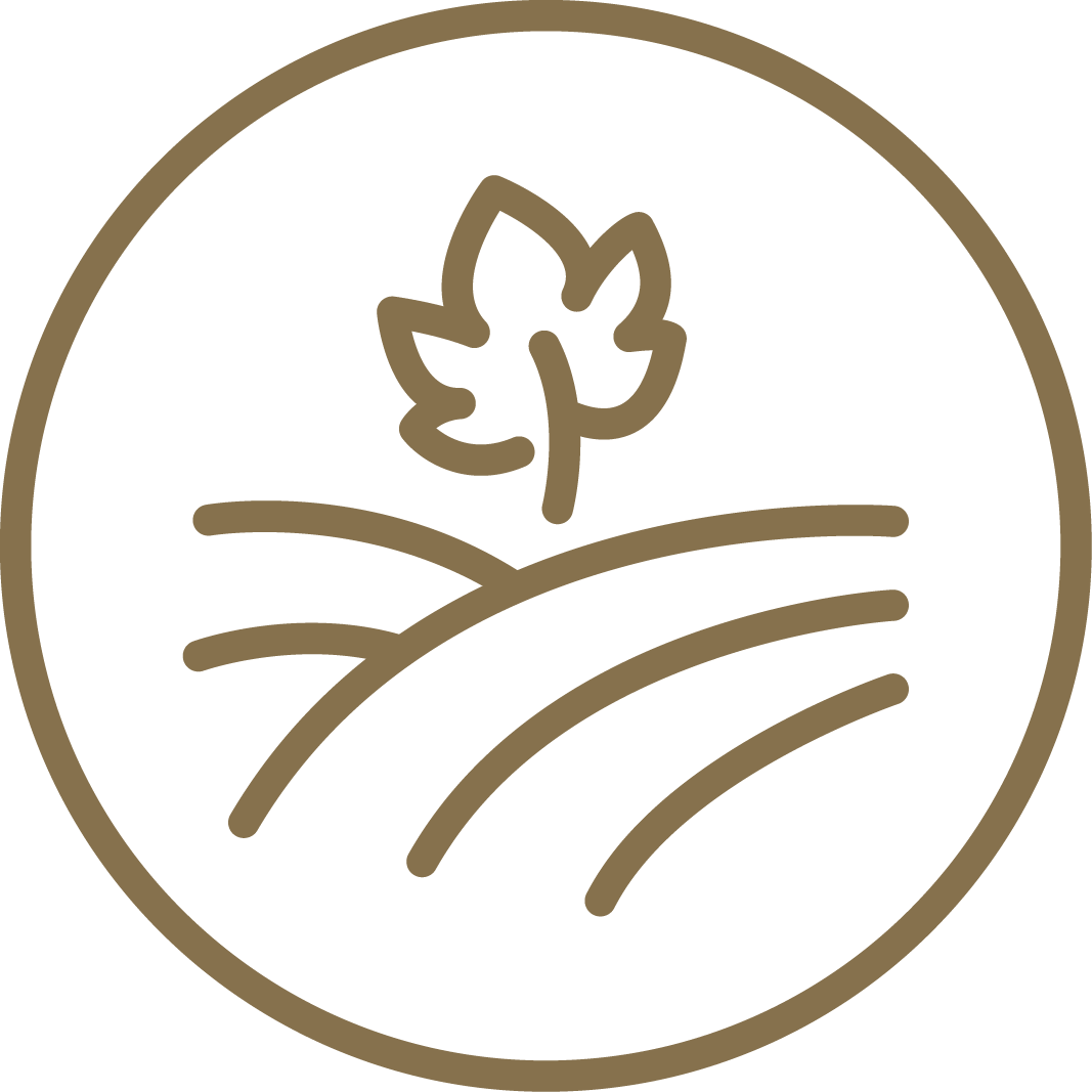 Stiftung St-Raphaël - Logo