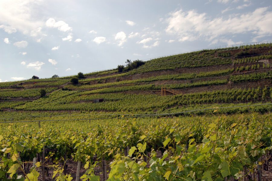 Stiftung St-Raphaël