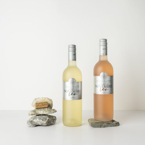 Box N°10 Duo ICE Porte de Novembre