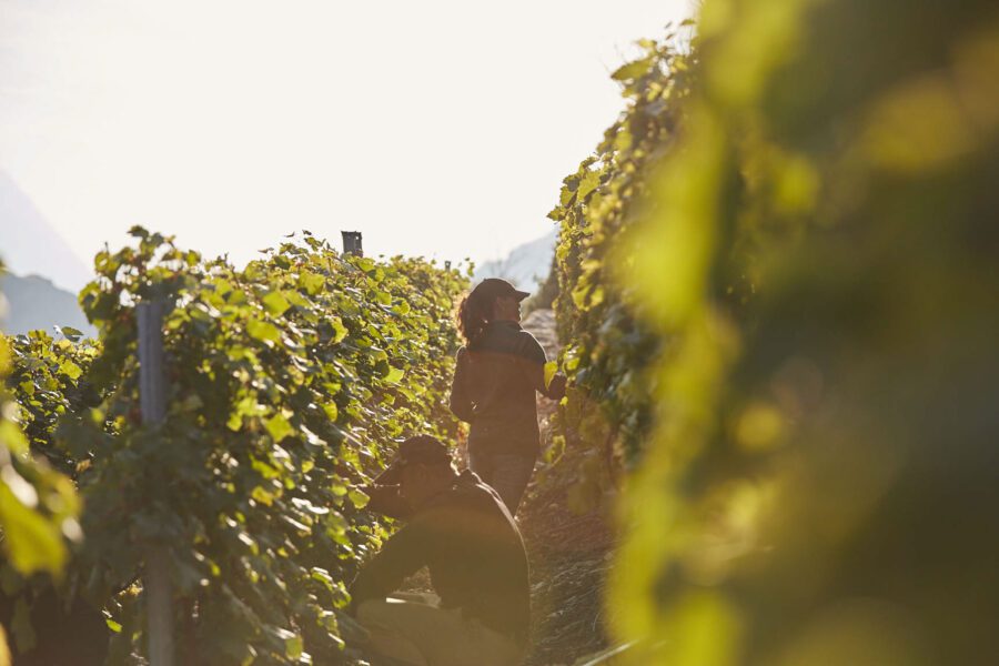 Nachhaltigkeit im Mittelpunkt unseres Handelns