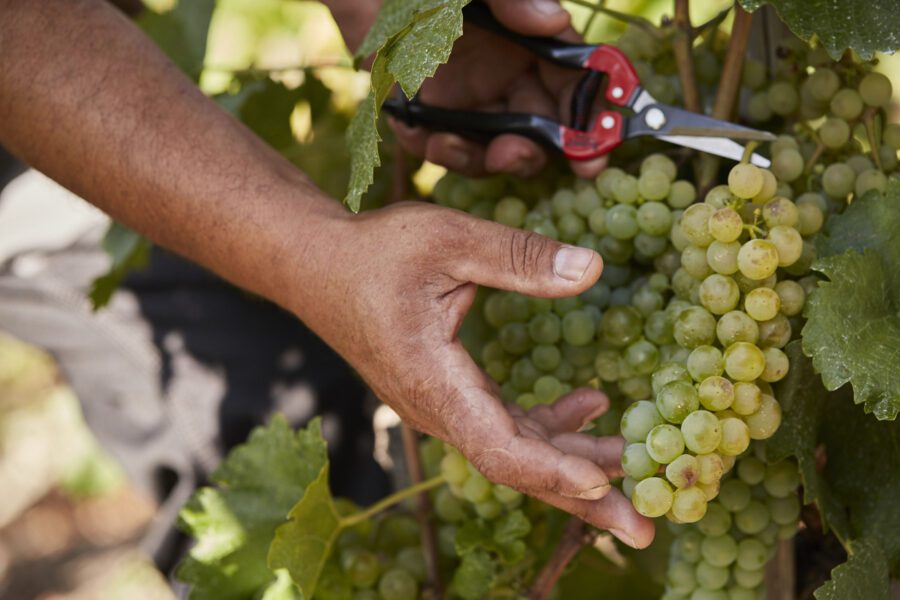 Handwerkliches Know-how seit 1885