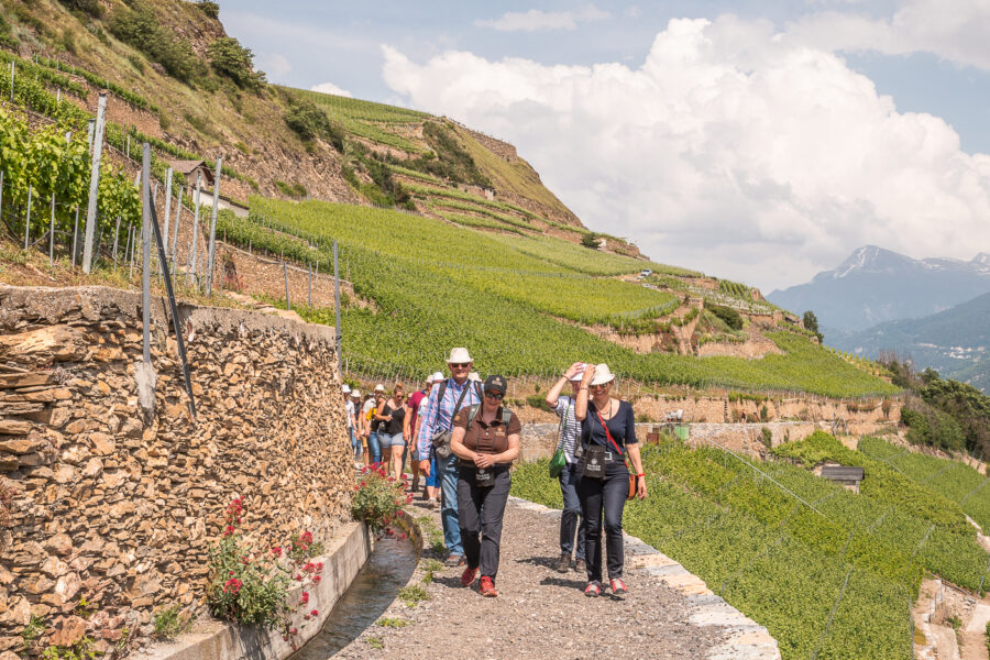 Un programme à la carte