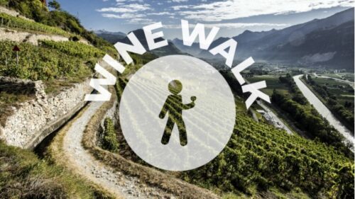 Wine Walk